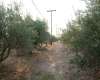 εικόνα ακινήτου