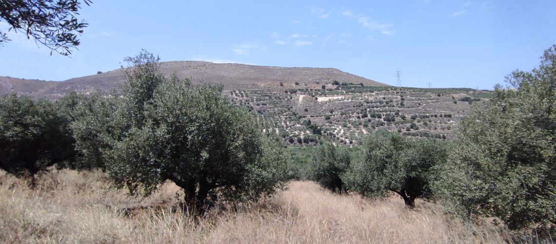 Πωλείται στήν Πρασσά αγροτεμάχιο Ηράκλειο Κρήτης εικόνα ακινήτου