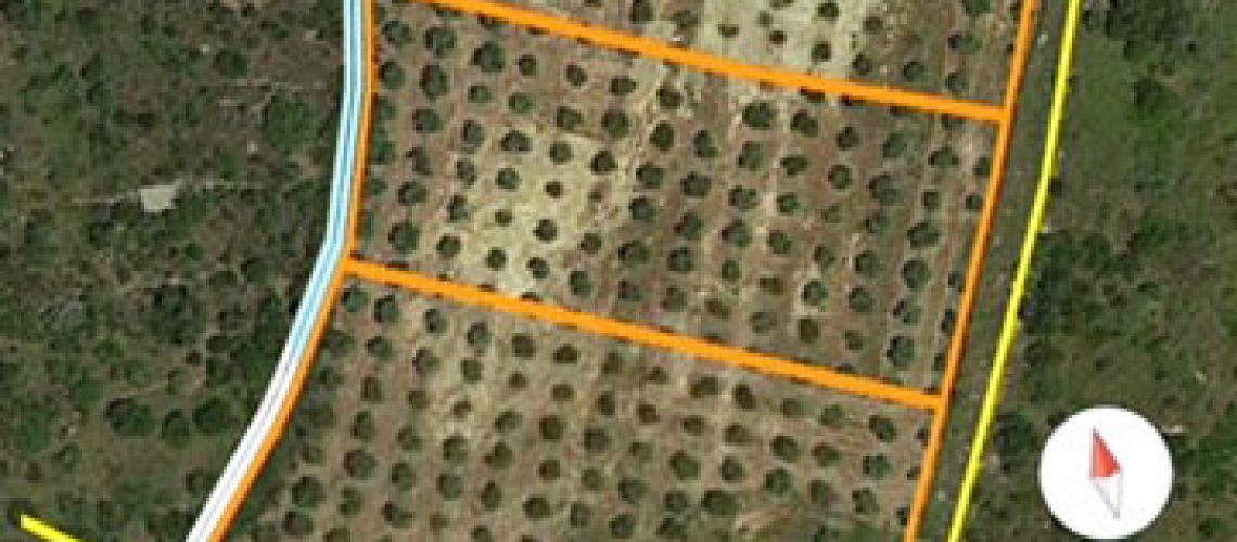 Λευκόγεια: 17 στρέμματα με θέα, ιδανικό για επένδυση Lefkogeia: 17 acres with a view, ideal for investment εικόνα ακινήτου
