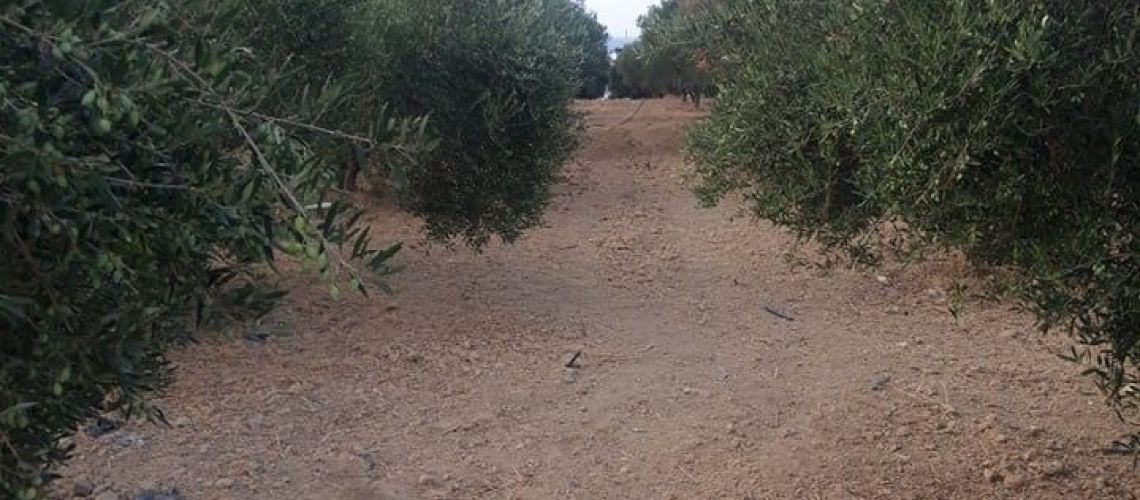 Ιδανικό οικόπεδο στην περιοχή Γάζι-Αμμουδάρα, για όλες τις χρήσεις Ideal plot in the Gazi-Ammoudara area, for all uses εικόνα ακινήτου