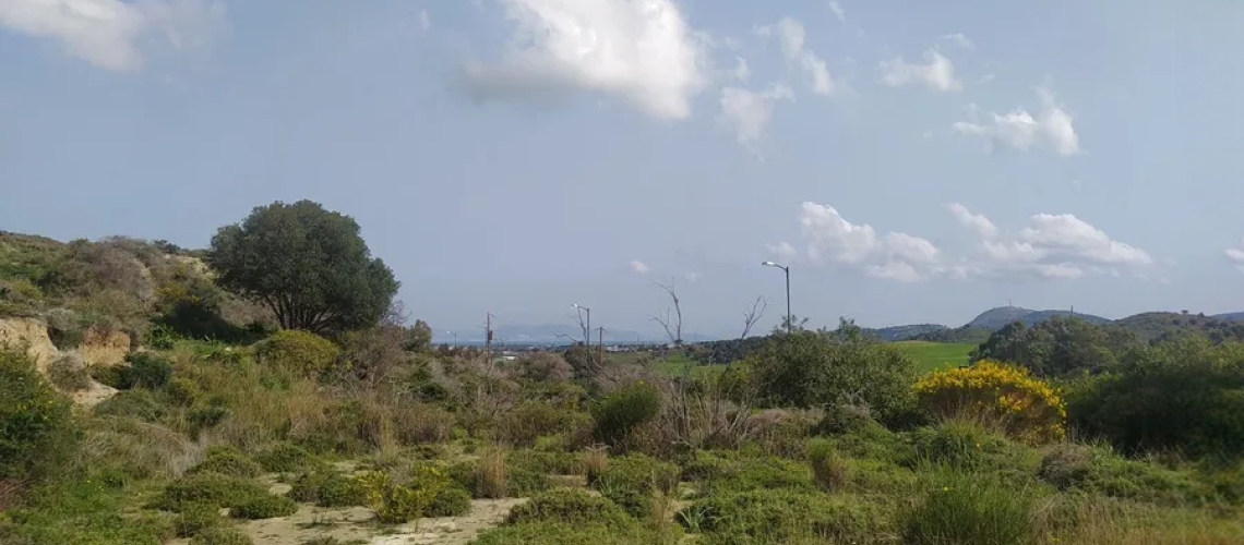 Πωλείται οικόπεδο ιδανικό για κατοικίες επαρχιακή οδό Κως-Κεφάλα Plot for sale, ideal for residences, Kos-Kefala provincial road εικόνα ακινήτου