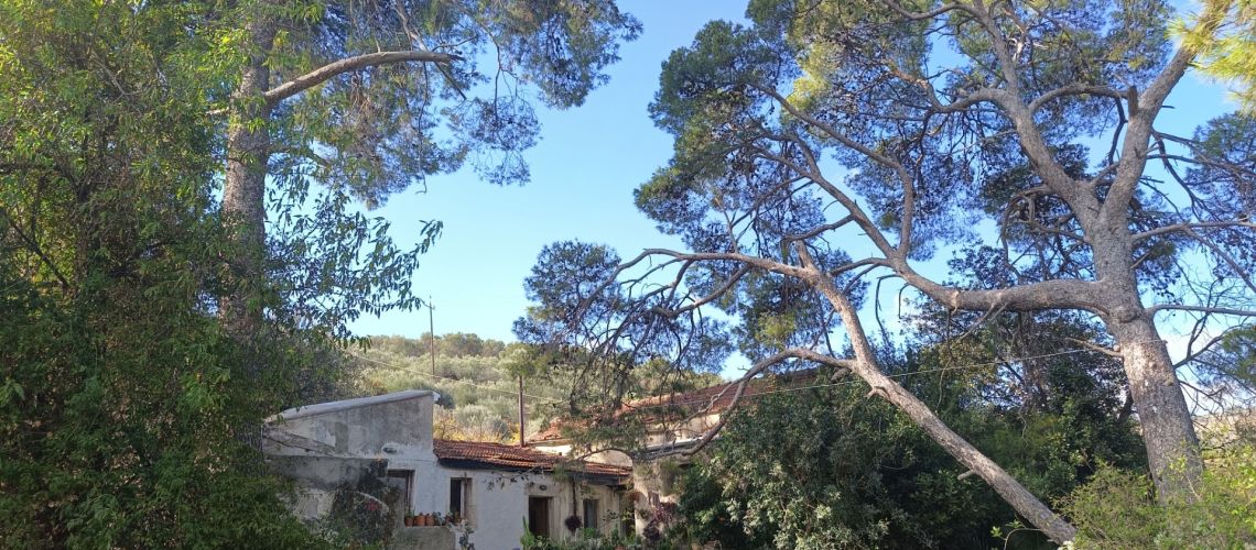 Καταφύγιο για φυσιολάτρες μονοκατοικία σε 7.500 τ.μ. καταπράσινο οικόπεδο Σπήλια Ηράκλειο A haven for nature lovers, detached house on a 7,500 sq m. green plot, Spilia, Heraklion εικόνα ακινήτου