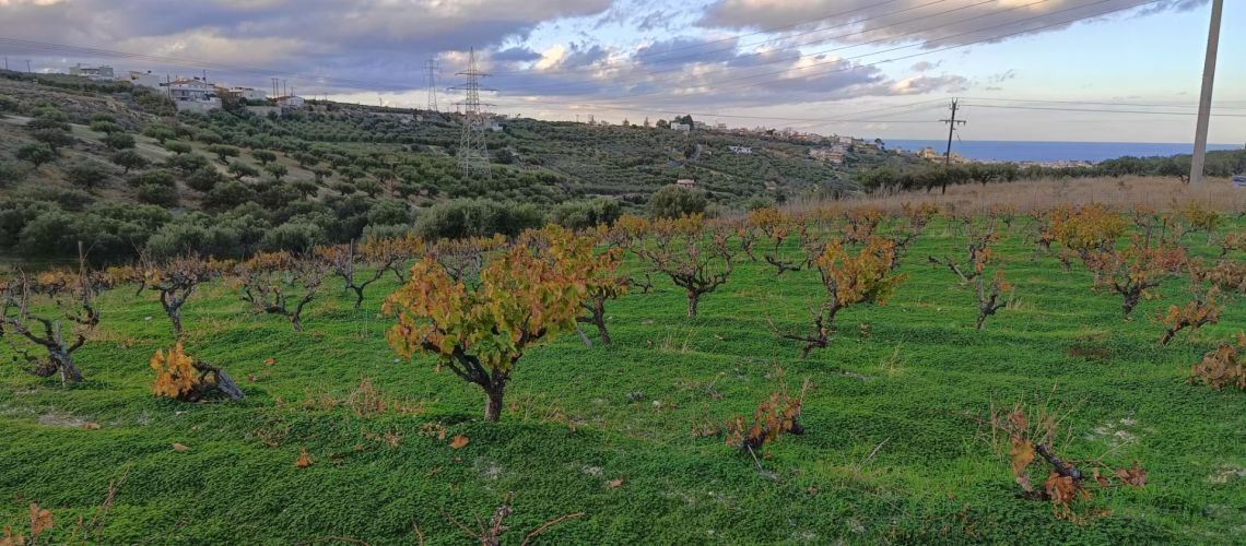 Πωλείται οικόπεδο με απίστευτη θέα Φορτέτσα Ηράκλειο Κρήτης Plot for sale with incredible views, Fortetsa, Heraklion, Crete εικόνα ακινήτου
