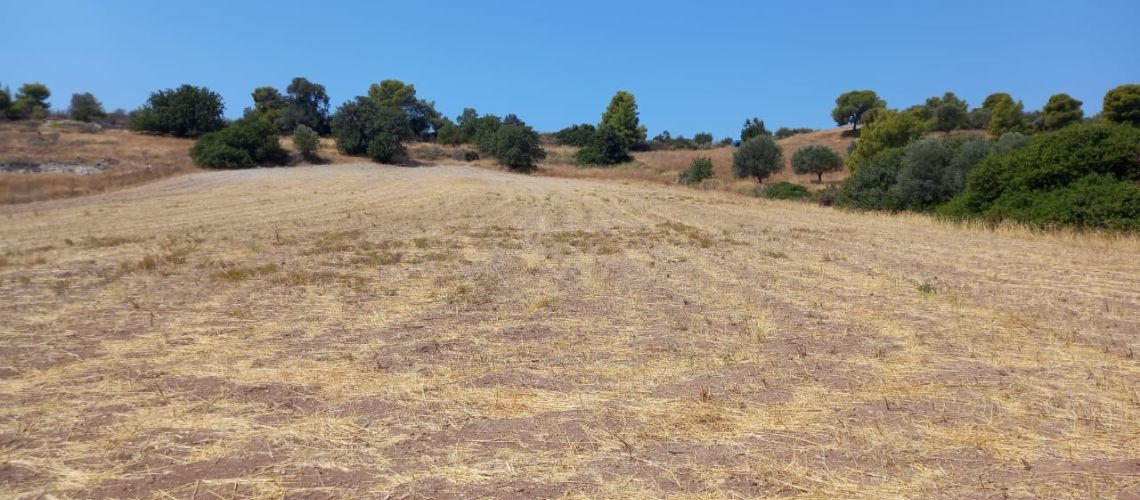 Αγροτεμάχιο 10 στρεμμάτων Κρανίδι Ζήστε την εμπειρία της επαφής με τη φύση 10 acres of land in Kranidi Experience contact with nature εικόνα ακινήτου