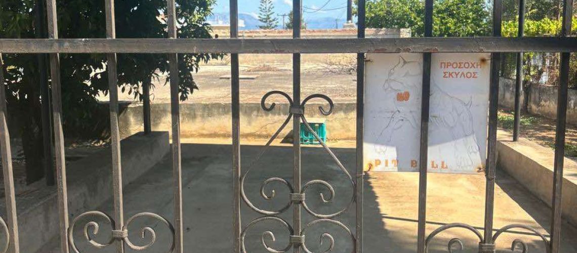 Πωλείται μικρό σπίτι με μεγάλη αυλή Άγιοι Απόστολοι Ωρωπός Small house with large yard for sale Saint Apostoli, Oropos εικόνα ακινήτου