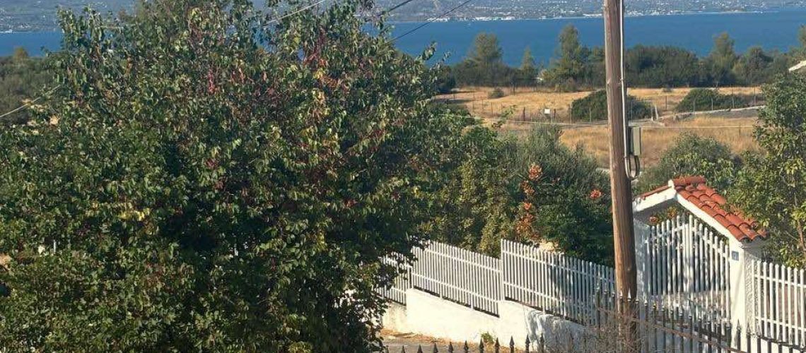 Πωλείται κατοικία Πευκιάς Χαλκούτσι House for sale in Pefkia Chalkoutsi εικόνα ακινήτου