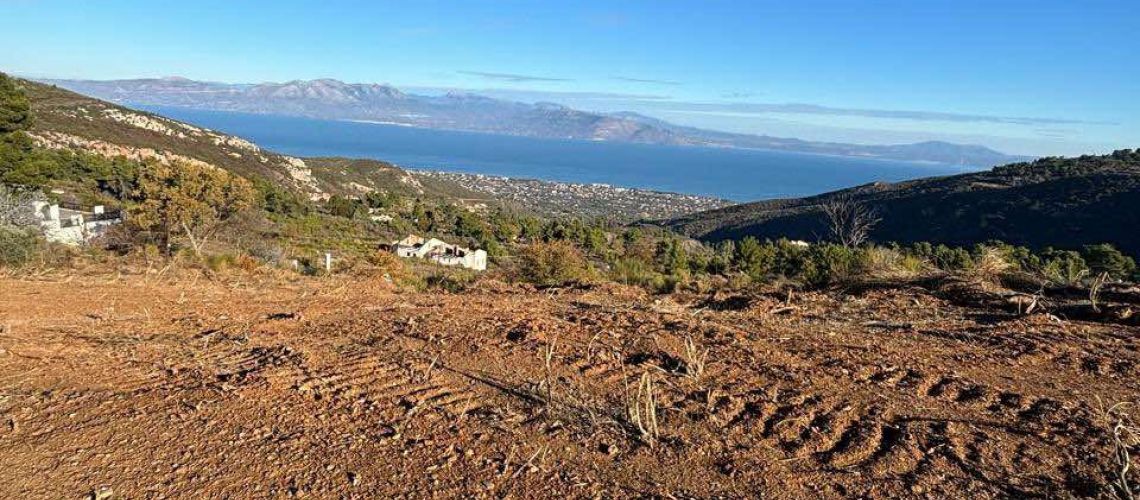Πωλείται παλιό σπίτι με οικόπεδο 5 στρέμματα Μετόχι Ρη Καπανδριτίου Ωρωπός Old house for sale with 5 acres of land, Metochi Ri, Kapandriti, Oropos εικόνα ακινήτου