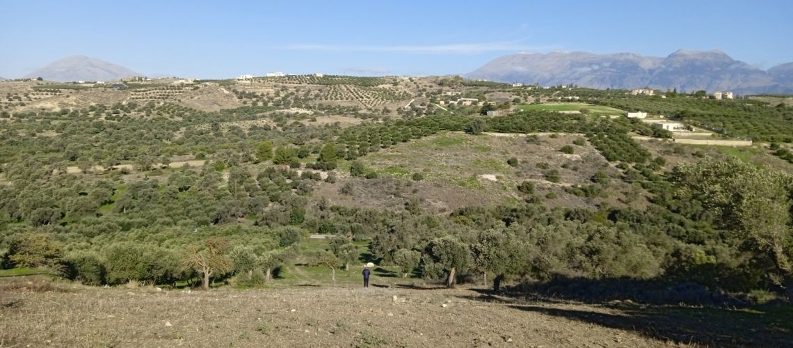 Πιτσίδια Μάταλα Επενδυτική ευκαιρία Αγροτεμάχιο για ξενοδοχείο ή συγκρότημα διαμερισμάτων Pitsidia Matala Investment opportunity Parcel for hotel or apartment complex εικόνα ακινήτου