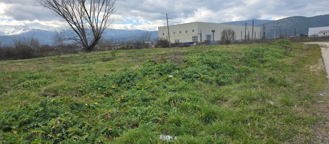 Ιωάννινα Αγροτεμάχιο σε στρατηγική τοποθεσία, ιδανικό για επένδυση Ioannina Agricultural plot in a strategic location, ideal for investment εικόνα ακινήτου