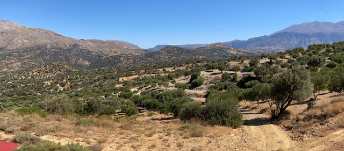 Αγία Γαλήνη, Κρήτη Μεγάλο Αγροτεμάχιο 60 Στρεμμάτων με Ελαιώνα Saint Galini, Crete Large 60 Acre Plot of Land with Olive Grove εικόνα ακινήτου