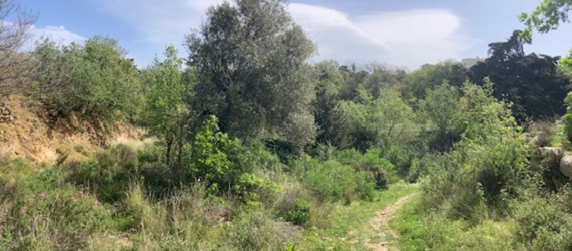 Πωλείται Οικόπεδο με Θέα Νότιο Ατσιπόπουλο Ρέθυμνο Plot for sale with South View Atsipopoulo Rethymno εικόνα ακινήτου