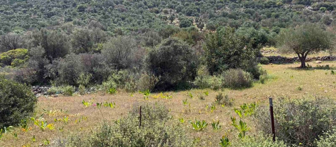 Οικόπεδο προς πώληση με αμφιθεατρική θέα Άγιος Νικόλαος Κρήτη Plot for sale with amphitheatrical view Saint Nikolaos Crete εικόνα ακινήτου
