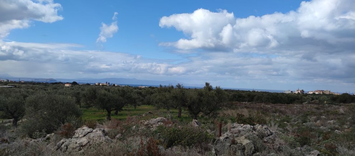 Τεράστιο αγροτεμάχιο για πώληση με δόμηση Χωραφάκια, Πλατανιάς Χανίων Huge plot of land for sale with building land Chorafakia, Platanias Chania εικόνα ακινήτου