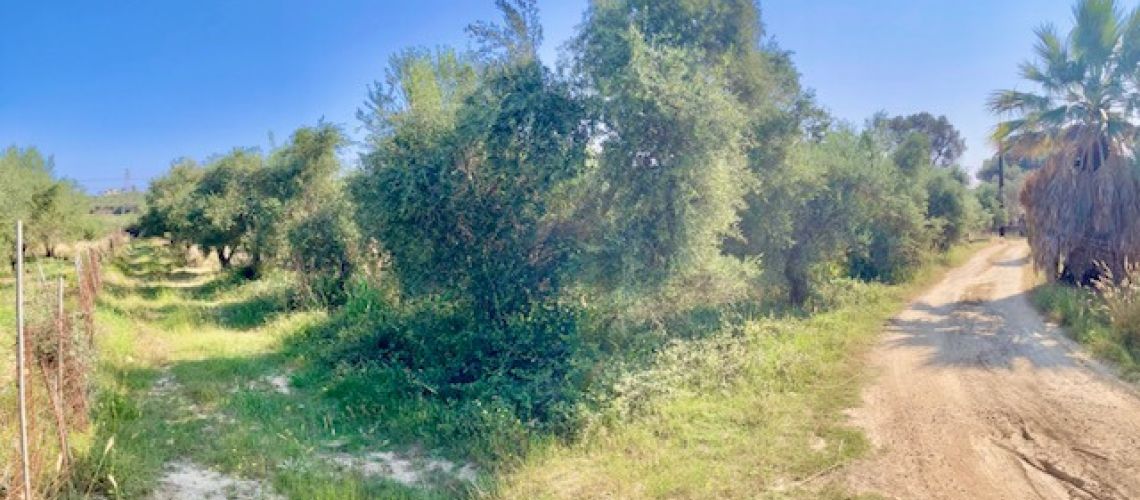 Επενδυτικό οικόπεδο για πώληση σε κατοικημένη περιοχή Πηγή, Ρέθυμνο Investment plot for sale in a residential area of Pigi, Rethymno εικόνα ακινήτου