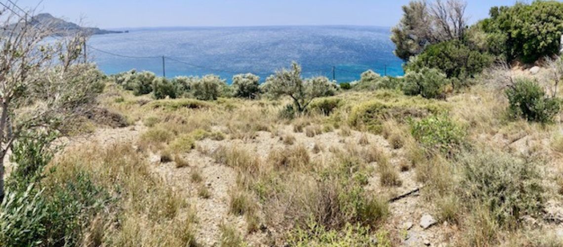 Γωνιακό οικόπεδο για πώληση Σούδα Πλακιάς Ρέθυμνο 16 στρέμματα κατάλληλο για ξενοδοχειακή μονάδα Corner plot for sale Souda Plakias Rethymno 16 acres suitable for a hotel unit εικόνα ακινήτου