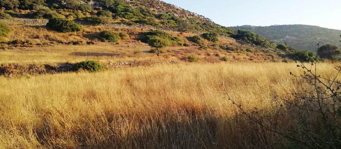 εικόνα ακινήτου