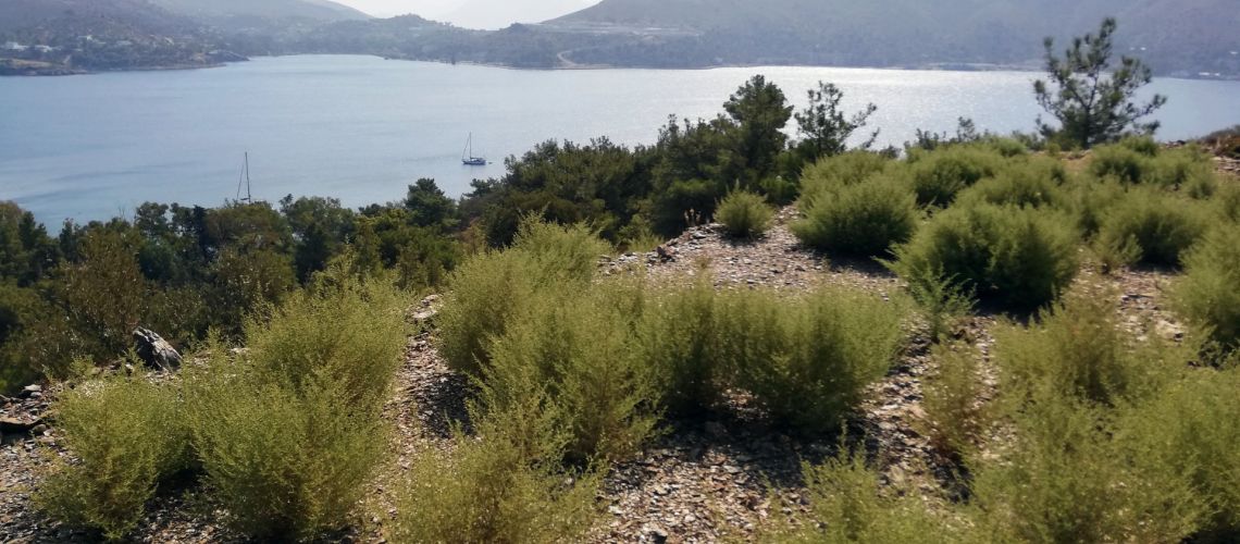 εικόνα ακινήτου