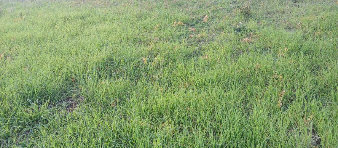 εικόνα ακινήτου