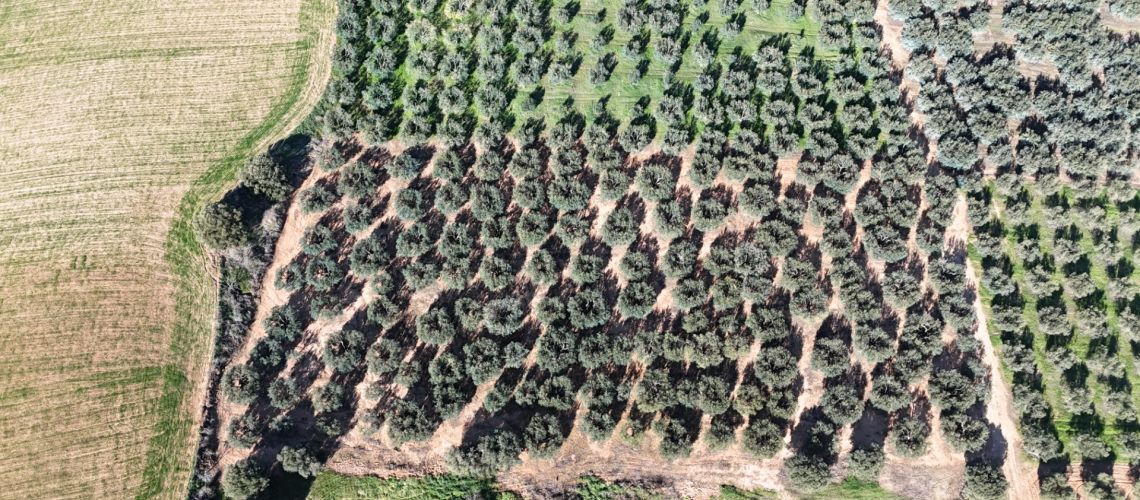 εικόνα ακινήτου