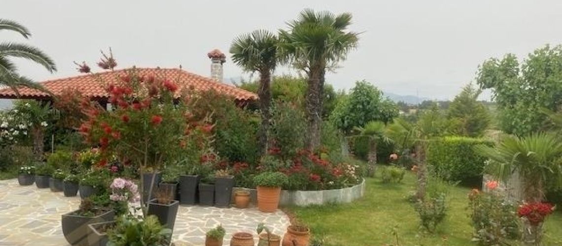 εικόνα ακινήτου
