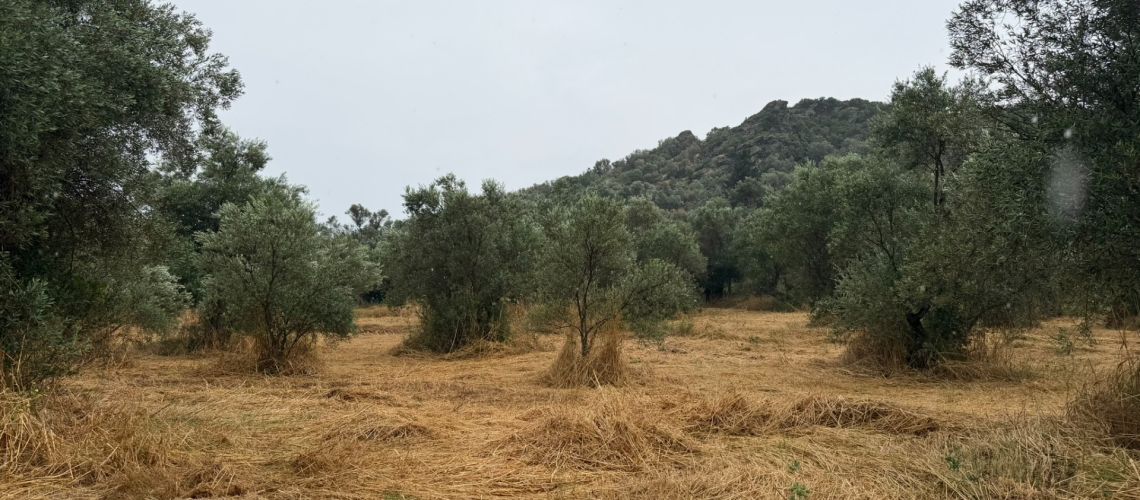 εικόνα ακινήτου
