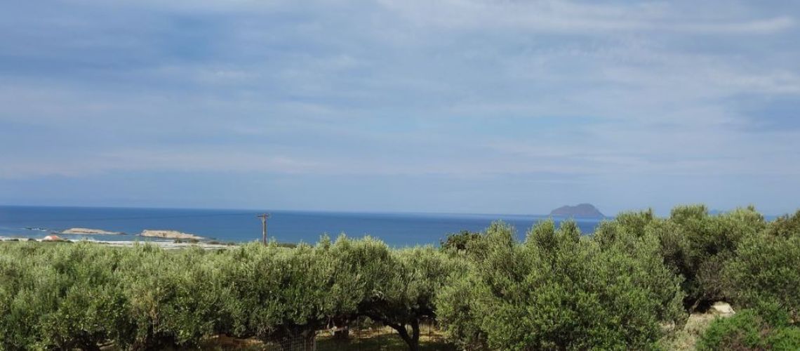 εικόνα ακινήτου
