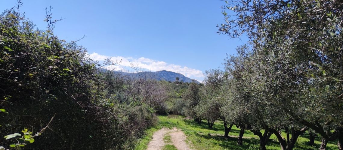 εικόνα ακινήτου