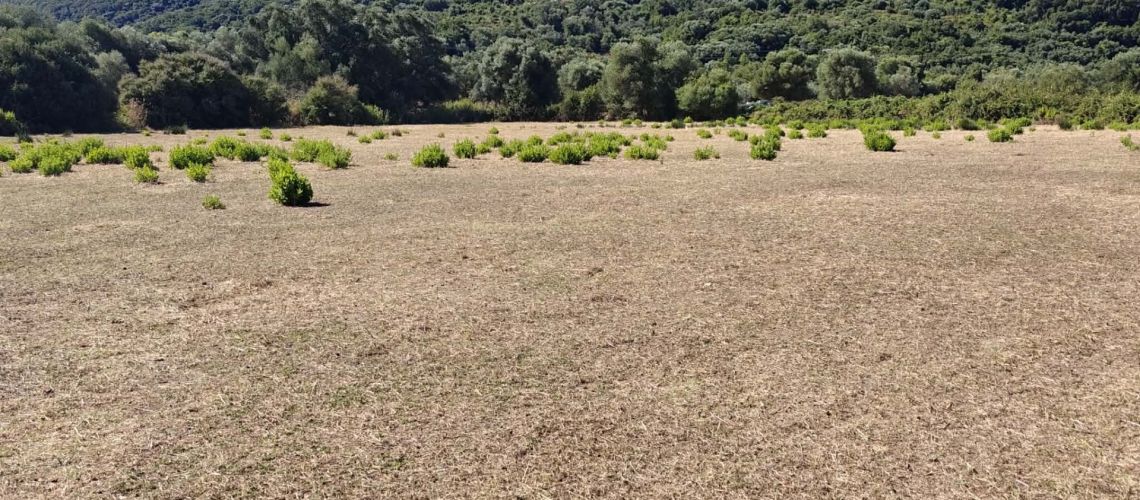 εικόνα ακινήτου