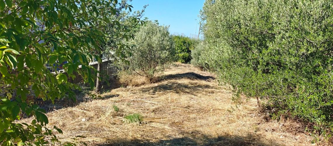 εικόνα ακινήτου
