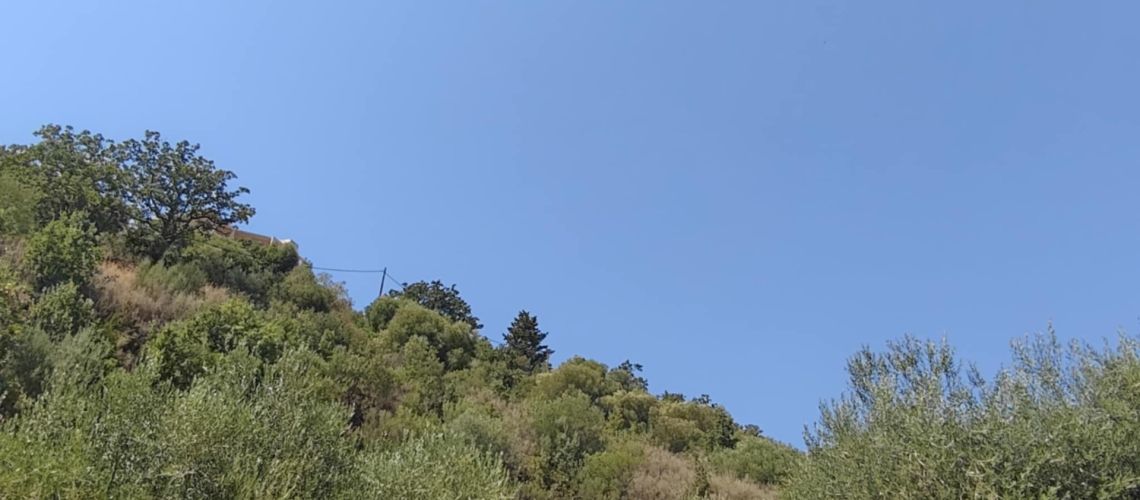 εικόνα ακινήτου