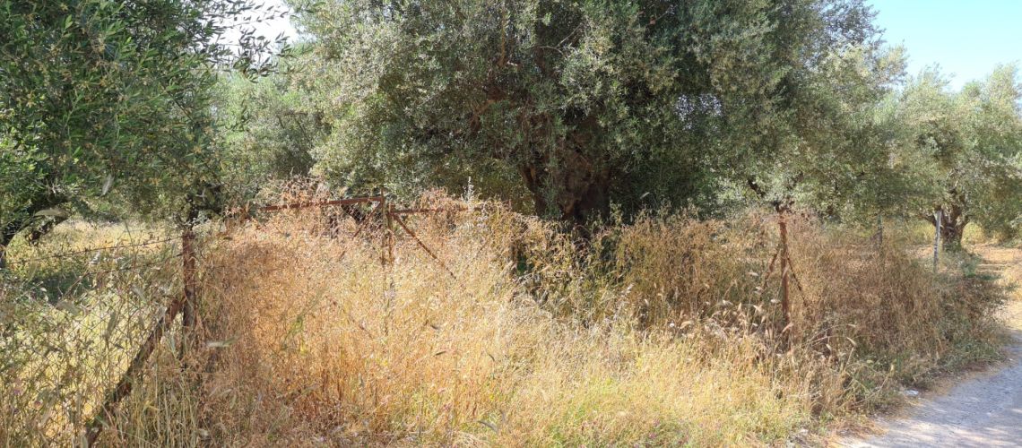 εικόνα ακινήτου