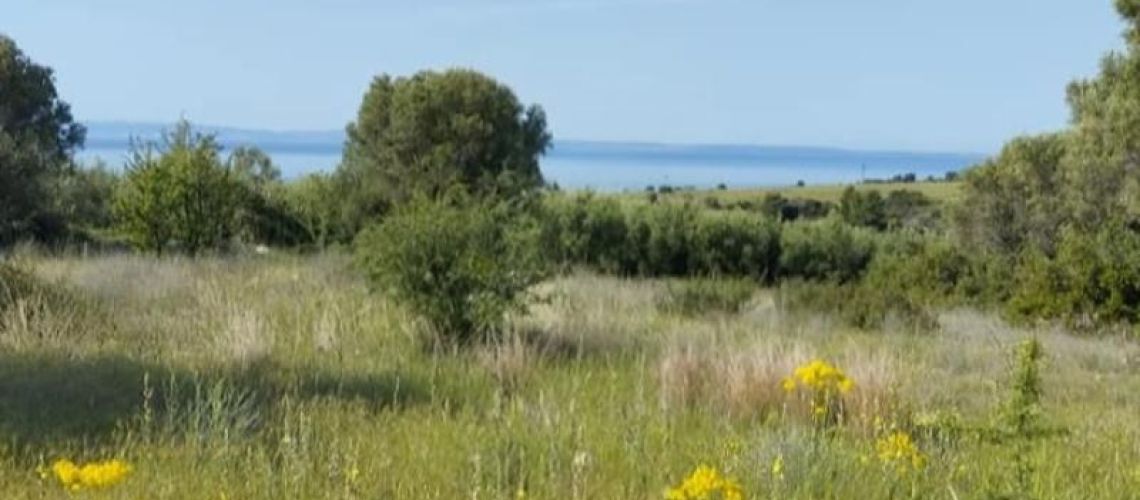 εικόνα ακινήτου