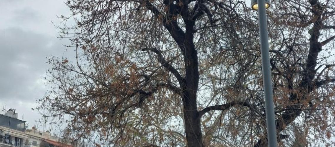 εικόνα ακινήτου