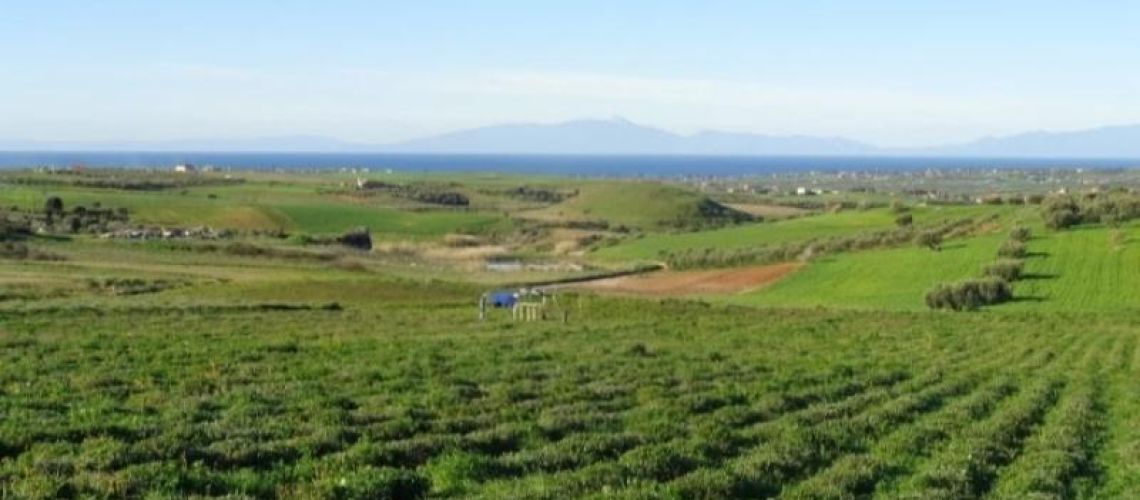 εικόνα ακινήτου