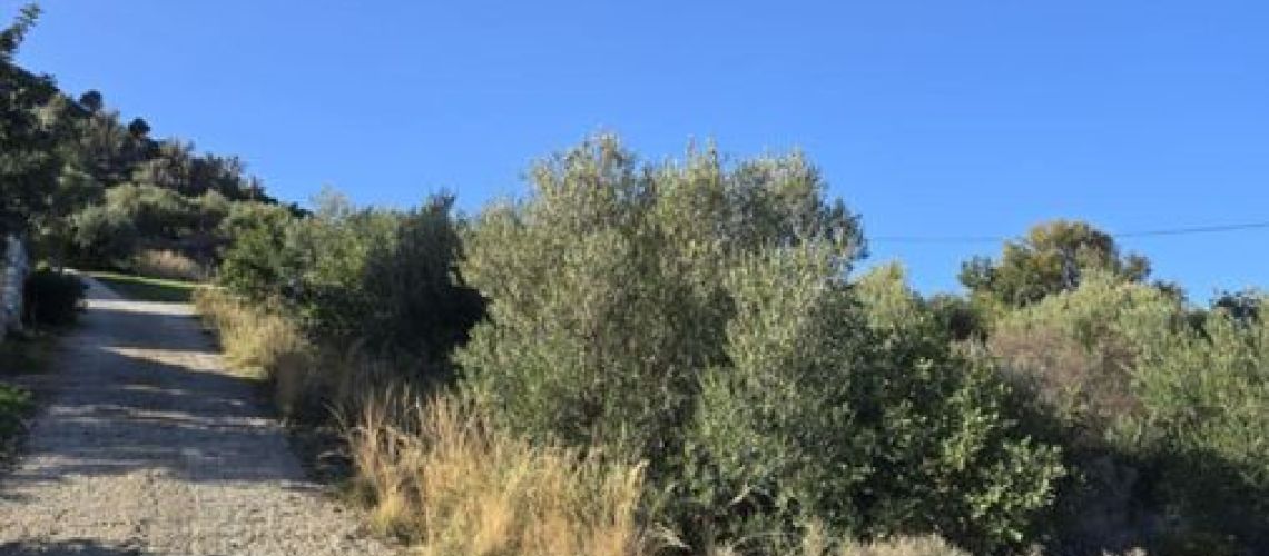 εικόνα ακινήτου