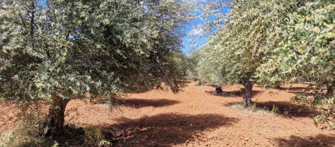 εικόνα ακινήτου