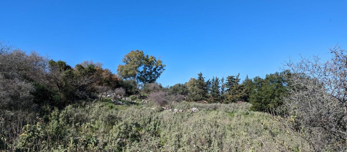 εικόνα ακινήτου