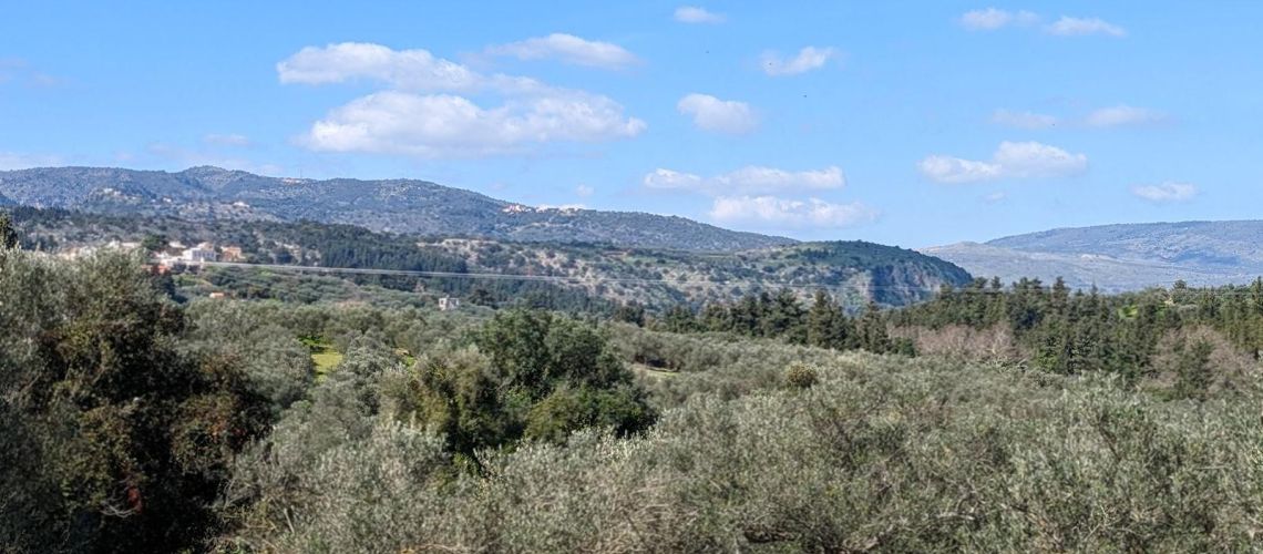 εικόνα ακινήτου