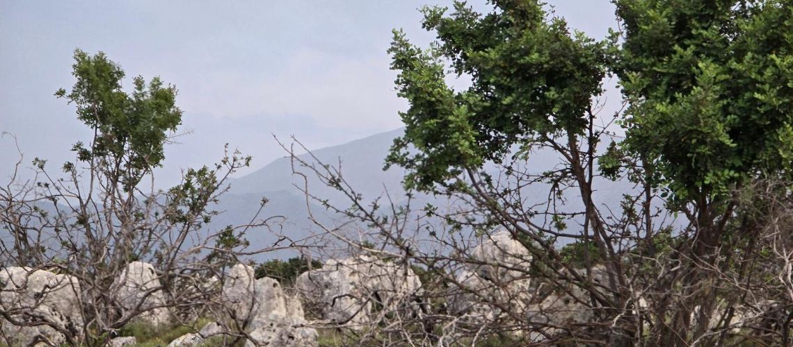 εικόνα ακινήτου