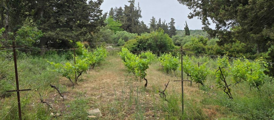 εικόνα ακινήτου