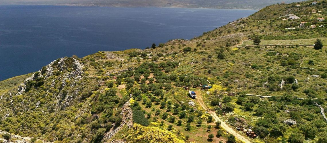 εικόνα ακινήτου