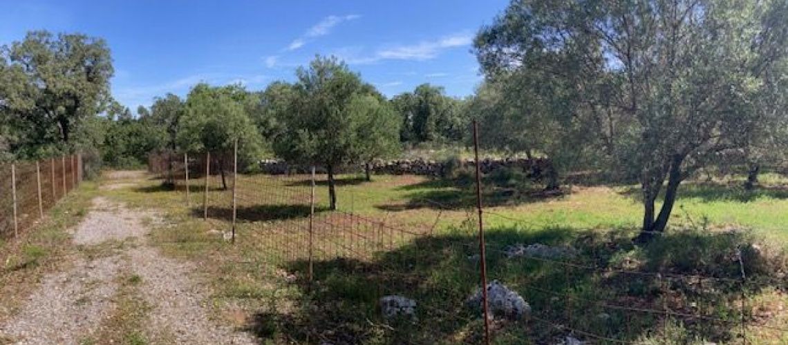 εικόνα ακινήτου