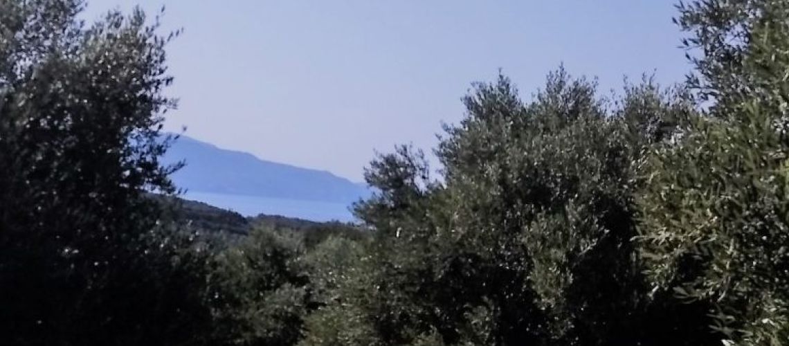 εικόνα ακινήτου