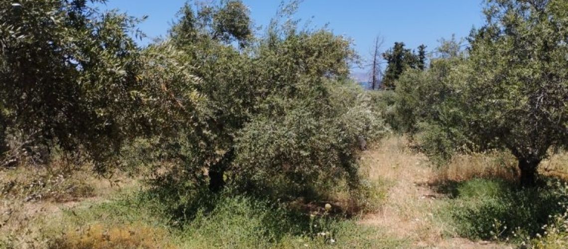 εικόνα ακινήτου