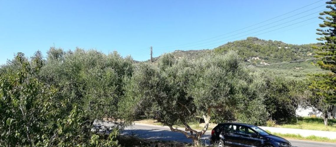 εικόνα ακινήτου