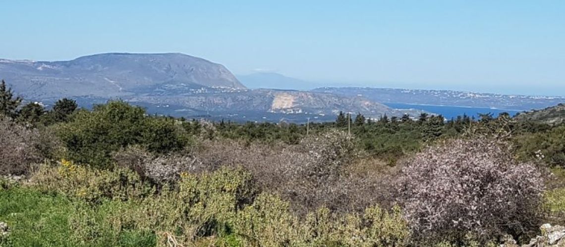εικόνα ακινήτου