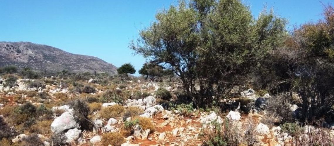 εικόνα ακινήτου