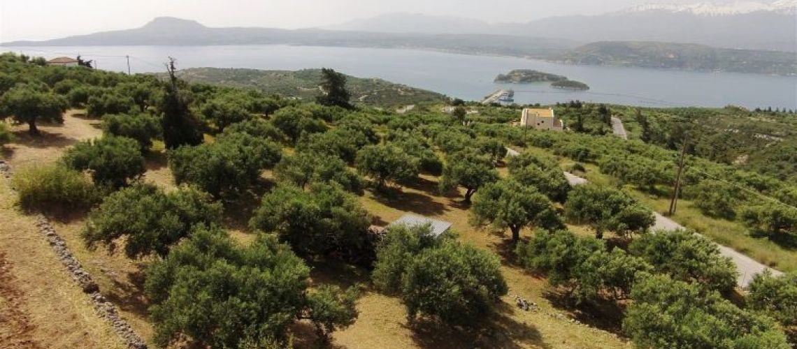 εικόνα ακινήτου