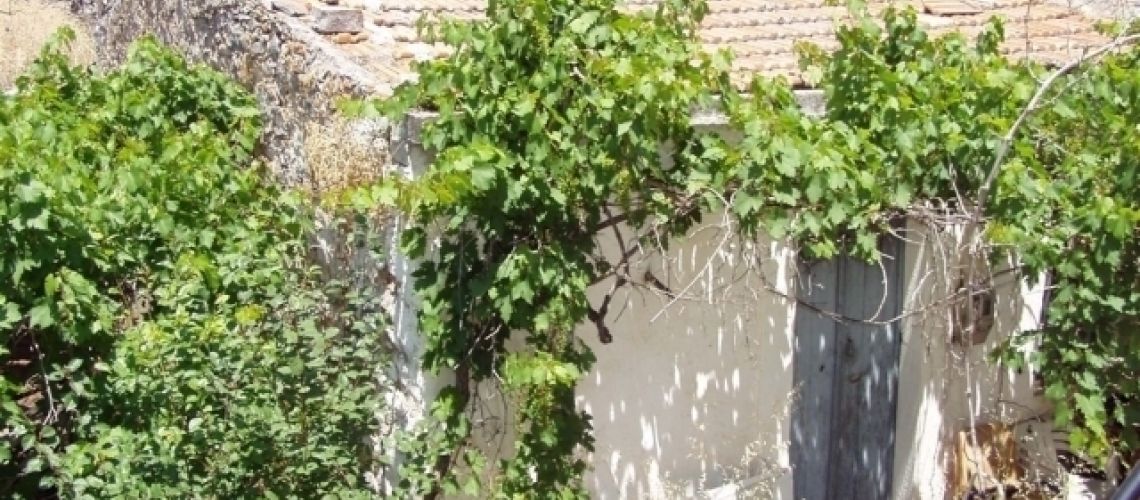 εικόνα ακινήτου