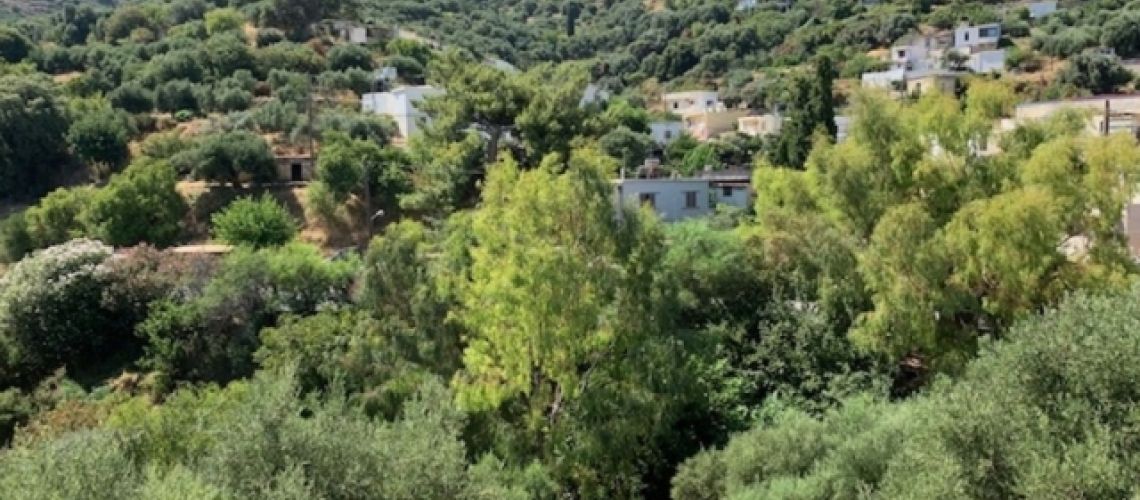 εικόνα ακινήτου